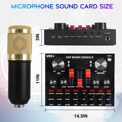 Microphone for Podcast Equipment Bundle and Studio Recording Equipment, USB Microphone, V8S Microphone for Computer, Perfect for Recording Podcasts and Live Streaming, 2 Microphones